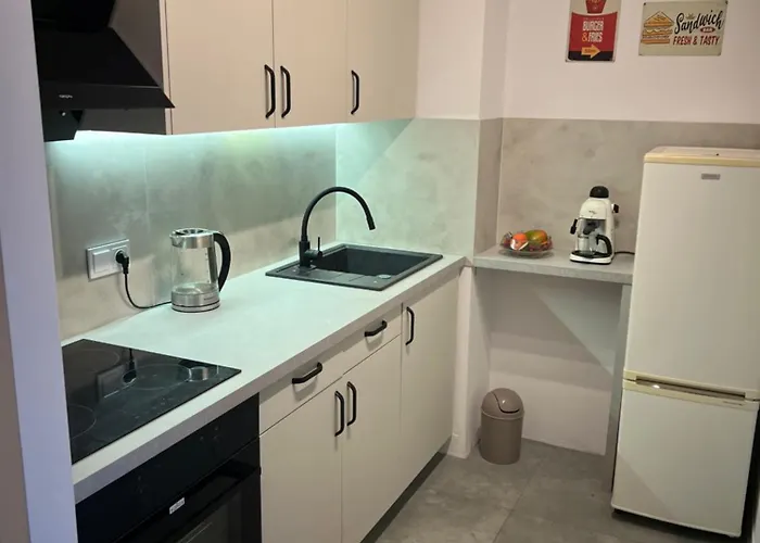 Raciborska Loft شقة